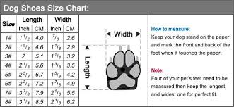 size charts petshopping net dog boots dog size chart