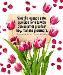 Martin M Centeno En Twitter Juanaleon1 Un Abrazo Grande Para Ti Mi Estimada Amiga Dios Te Bendiga Cada Dia Mas Feliz Fin De Semana Besos Y Abrazos Cordiales Https T Co 9bdt5anoxi Twitter