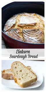 Einkorn Sourdough Bread Recipe In 2020 Einkorn Recipes Sourdough Bread Einkorn