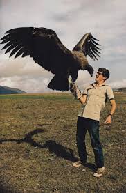 Check spelling or type a new query. The California Condor Is The Largest North American Land Bird Its 3 0 M 9 8 Ft Wingspan Is The Widest Of Any North A Andean Condor California Condor Animals