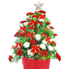 Buy christmas flowers at bloomex.ca. Send Flowers To China Best China Online Local Flower Shop Delivery