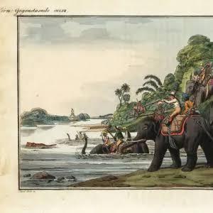 Tiger Hunt Print, Handcoloured Copperplate Engraving. Art Prints, Posters & Puzzles from Mary Evans