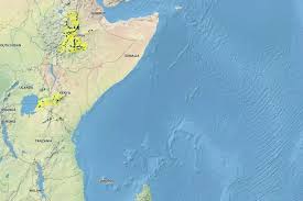 Image result for Trifolium semipilosum