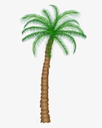 Palm tree these animated pictures were created using the blingee free online photo editor. Palm Tree Clipart Black And White White Palm Trees Transparent Hd Png Download Kindpng