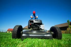 How often the lawn is mowed depends on the grass types your lawn is made up of. 10 Things You Should Never Do To Your Lawn Howstuffworks