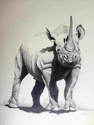 We did not find results for: 50 Easy Pencil Drawings Of Animals That Look So Realistic