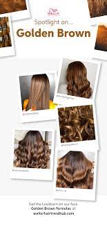 Golden Brown Spotlight Golden Brown Hair Golden Brown Hair Color Brown Hair Colors