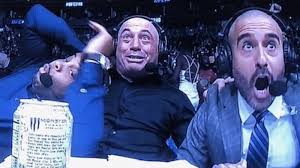 Stream memes are video clips, gifs, or audio clips that you can use in a live stream. Joe Rogan Daniel Cormier And Jon Anik Ufc 248 Reaction Know Your Meme