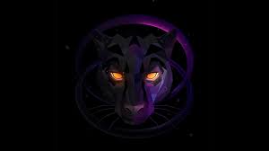 1920x1080 Wolf Hd Latest Wallpaper Hd Cool Wallpapers Justin Maller Wallpapers Art