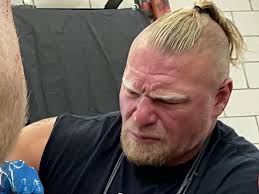 Roman reigns emerges as next challenger for universal champion goldberg: Wwe Fans Hilariously React To Brock Lesnar S New Bizarre Hairstyle Essentiallysports