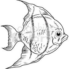 Black And White Saltwater Fish Clipart Black White Realistic Tropcal Fish Clipart Royalty Free Clipart 411442 Fish Clipart Clip Art Art