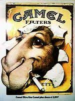 He met his second wife while he travelled round france by bike. Joe Camel Uncyclopedia The Content Free Encyclopedia