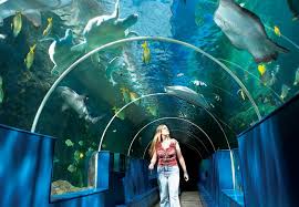 The Bournemouth Aquarium Grupo Parques Reunidos