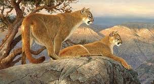 Puma Do Leste Da America Do Sul Big Cats Art North American Wildlife Art Wildlife Paintings
