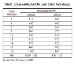 Kumpulan gambar tentang gambar kandang itik, klik untuk melihat koleksi gambar lain di kibrispdr.org. Kebutuhan Pemberian Pakan Itik Bebek Petelur Dan Pedaging Yang Tepat Website Hewan