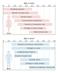 48 Extraordinary Puberty Chart For Guys