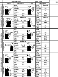 Fig 3 Brachial Plexus Nerve Gliding Exercises From Pennsylvania Hand Therapy Physical Therapy Assistant Physical Therapy School