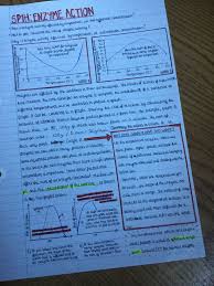 Pin By Adina Dawson On Biology Gcse Biology Revision Biology Notes Science Revision