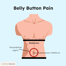 Image result for Umbilicus