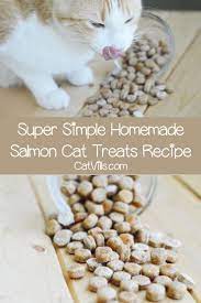 Homemade Salmon Cat Treats Recipe Homemade Cat Food Cat Treats Homemade Natural Cat Treats