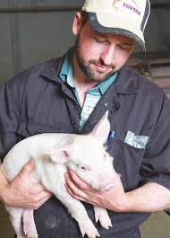 How Labour Challenges Will Shape the Future of the 'Swine' Industry: