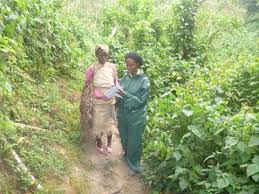 Image result for Rytigynia kigeziensis