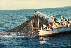 Lester Allen Salter Obituary February 9, 2018