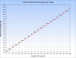 metacam for dogs veterinary place