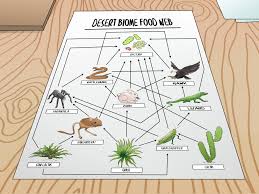 How To Draw A Food Web With Pictures Wikihow