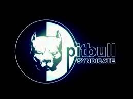 Maybe you would like to learn more about one of these? Pitbull Syndicate