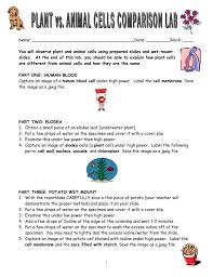 Maybe you would like to learn more about one of these? Lab Plant V Animal Cells