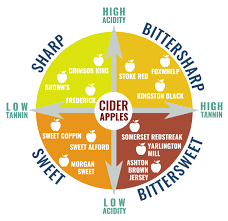 apples orchards the national association of cider makers