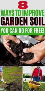 8 Simple Ways To Improve Your Garden Soil For Free Garden Soil Fall Garden Vegetables Soil Improvement