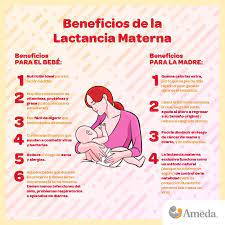 La leche materna contiene todo lo que el niño necesita durante los primeros meses de la vida. Facebook