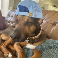 Lucas Holton 的Instagram photo • Apr 28, 2023 at 10:52 AM