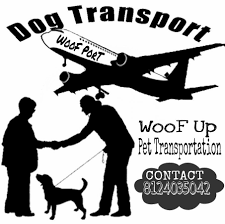 Long or short trips, your dog will enjoy every part of their nationwide transport with us. Woof Up Pet Transportation Home Facebook