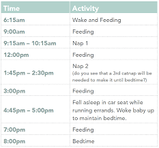 6 Month Old Feeding Schedule Examples And Forms
