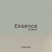 Tems absolutely killllled this song. Essence Wizkid Cover By Sokoga Listen On Audiomack