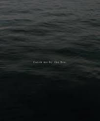 While very diverse, our aesthetic approach often involves distinct sense of play, aiming to put the fun in functional. Birdasaurus Gioia Giustino Ocean Quotes Sea Quotes Quote Aesthetic