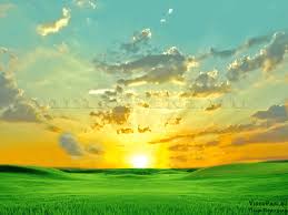 images?q=tbn:ANd9GcRWfDwECPy5sDPycQ2gbTq