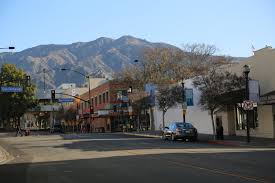 Active termite and pest control, inc is your leading source for trusted pest and termite protection for all residential and commercial properties. Termite Control In Burbank California Attack Pest Management