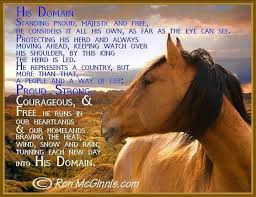 Maybe you would like to learn more about one of these? Mustangs Horse Quotes Pinterest Horses Horse Quotes Mustang Horse