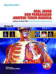 We are a sharing community. Soal Dan Pembahasan Anatomi Tubuh Syaifuddin