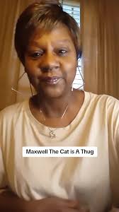 Maxwell The Cat Hood
