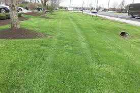 Based in brownsburg, indiana, bladz lawn care is a lawn care company serving both residential and commercial clients in and around indianapolis. Lawn Care Indianapolis In Green Groom Landscape Lawncare