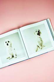 You can find one to share as a gift for the dog. The Life And Love Of Dogs Coffee Table Book Lewis Blackwell Pipe And Row Pipe And Row