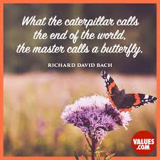 A person has gone catapillar when they seal themselves into cocoon like cover to escape any interaction with the world. What The Caterpillar Calls The End Of The World The Master Calls A Butterfly Richard David Bach Passiton Com
