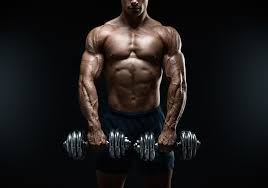 In the quest for bodybuilding dieting results, sometimes bodybuilders become victims to many common pitfalls hold you back and make you lose muscle. Guide To Keto Bodybuilding 2021 Ketogenic Diet Reviews