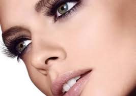 WordPress Website Design, WooCommerce Development, SEO Services