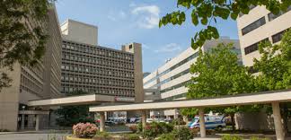 Rutgers university, newark sports news and features, including conference, nickname, location and official social media handles. University Hospital Rutgers Health